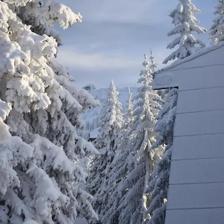 Plan Centar Apartman Kopaonik