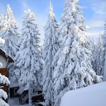 Apartman Plan Centar Kopaonik