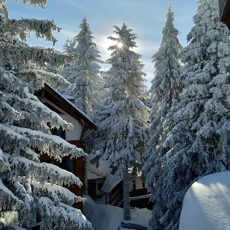 Plan Centar Apartman *