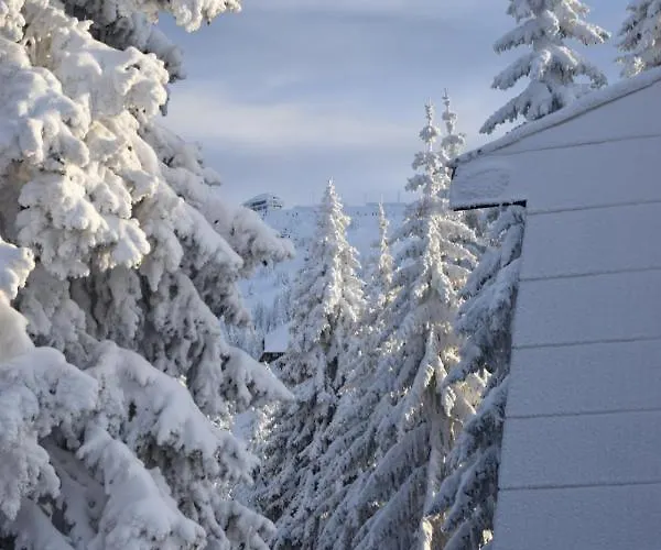 Plan Centar Apartament Kopaonik