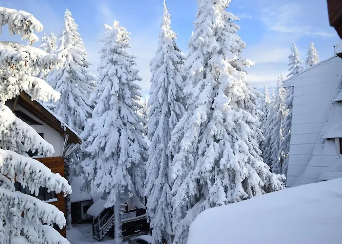 Apartament Plan Centar Kopaonik