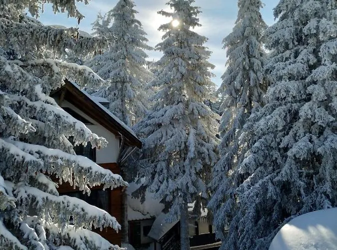 Plan Centar Apartament *